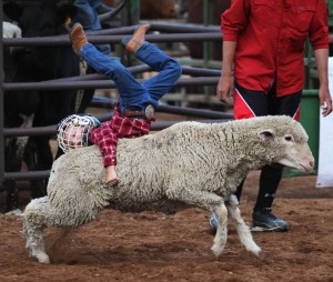 Laramie Jubilee Days