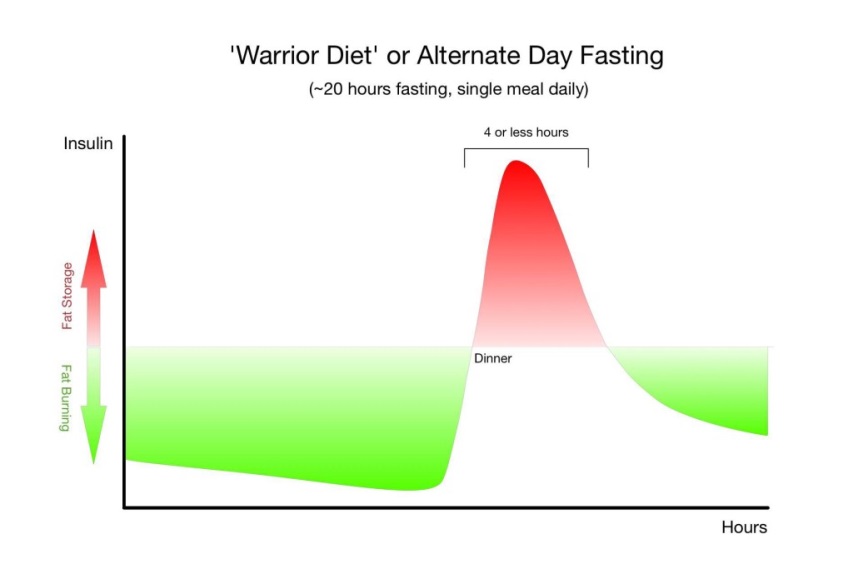 Гормоны при голодании график. Fasting hours. The Alternate-Day Diet. Alternate-Day Fasting или adf Результаты.